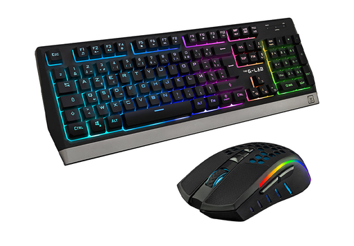 PRO CLAVIER SOURIS S FIL DML